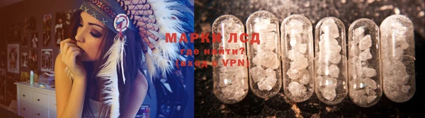 индика Алексин