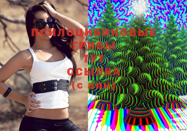 индика Алексин