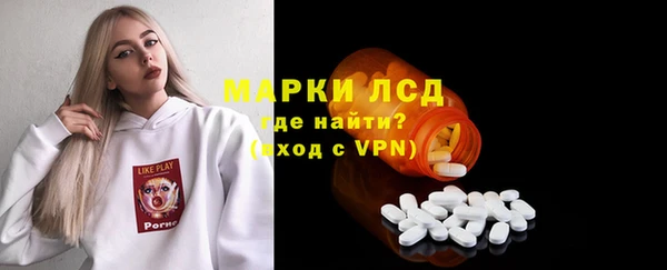 индика Алексин