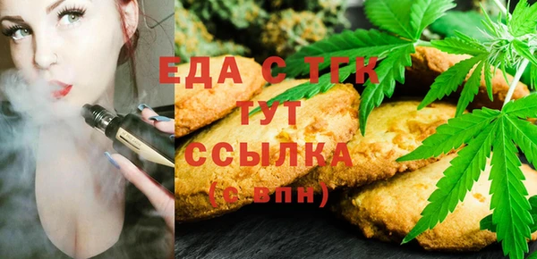 индика Алексин