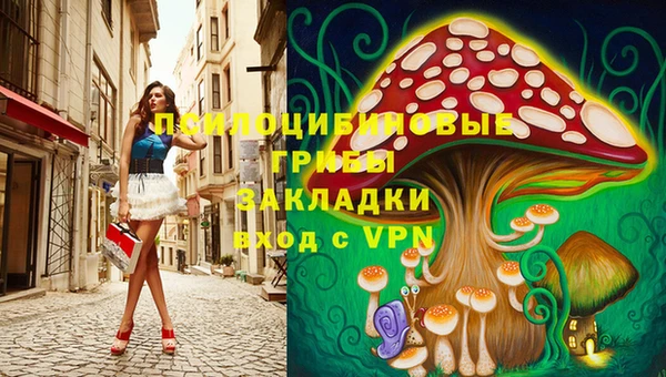 СК Алзамай