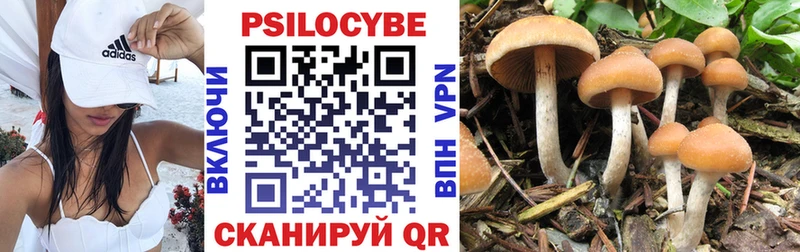 Псилоцибиновые грибы MAGIC MUSHROOMS  Купить  Лесной 